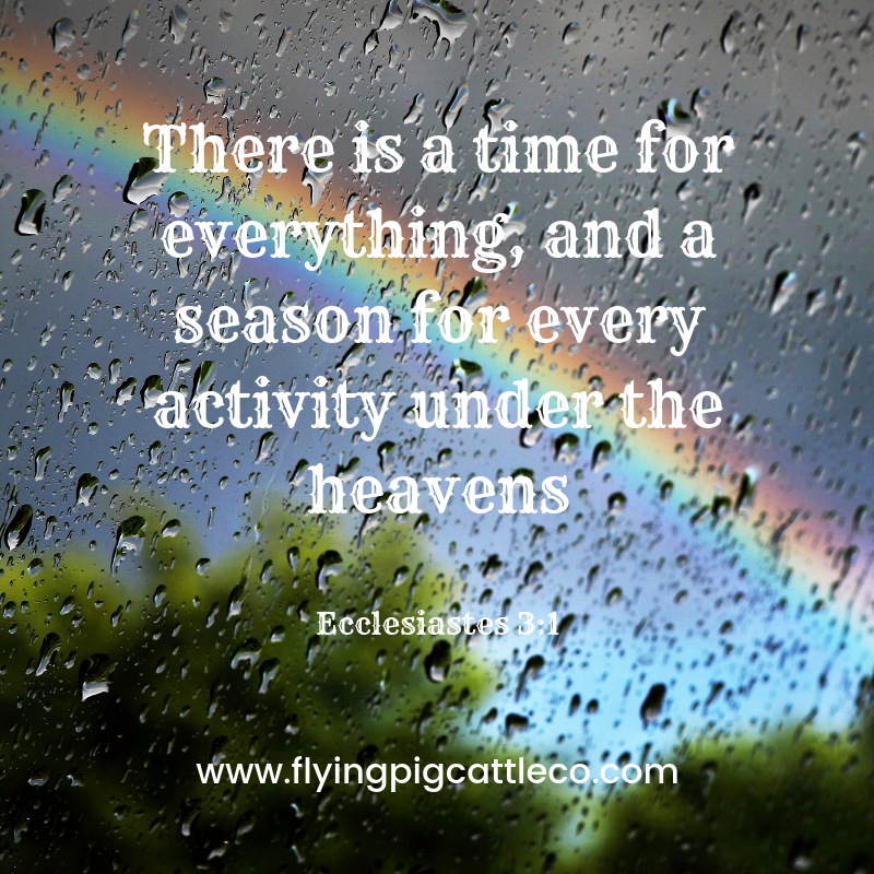 There is a time for everything, and a season for every activity under the heavens