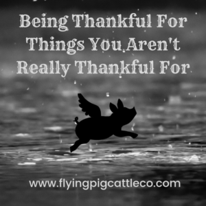 Being Thankful For Things You Aren't Really Thankful For