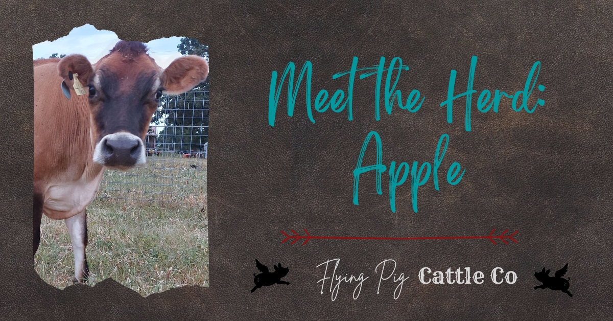 Meet the Herd: Apple