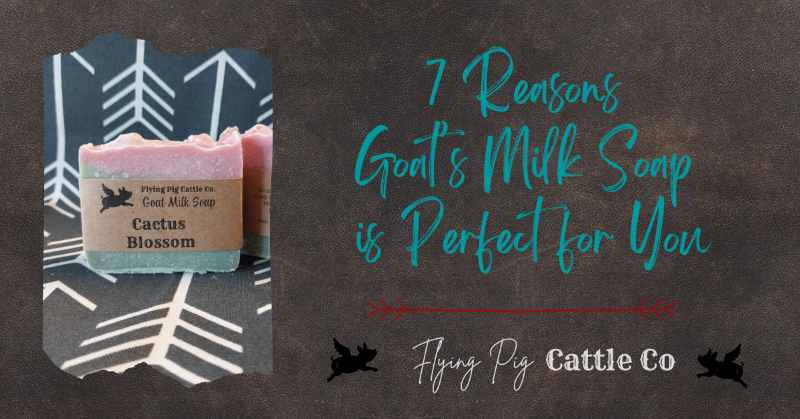 7 reasons goat milk soap is perfect for you