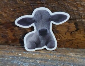 Baby Calf “Bocephus” Sticker