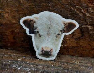 Walter the Miniature Hereford Bull Vinyl Sticker