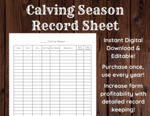Calving season livestock record keeping