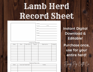 Lamb sheep flock record keeping
