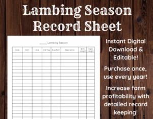 lambing season livestock record keeping